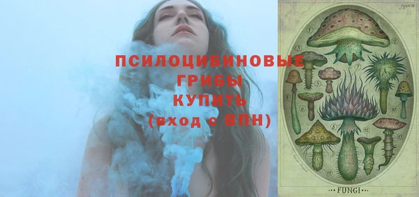 прущая мука Протвино