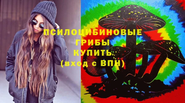 дживик Армянск