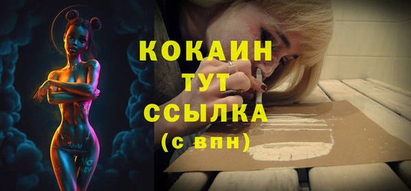 индика Арсеньев