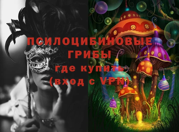 дживик Армянск