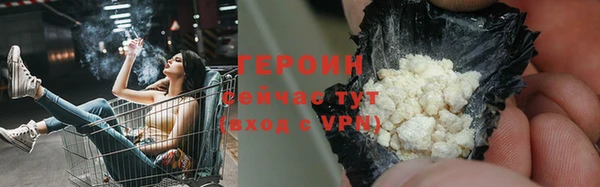 индика Арсеньев