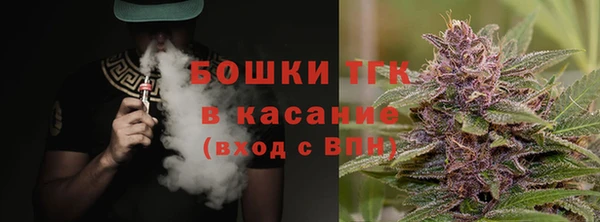 индика Арсеньев
