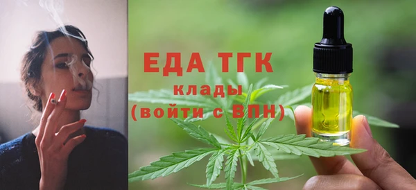 индика Арсеньев