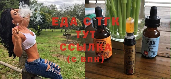 индика Арсеньев