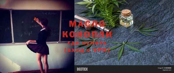 индика Арсеньев