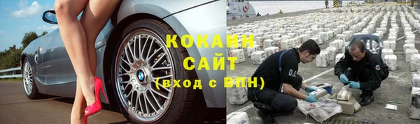 индика Арсеньев