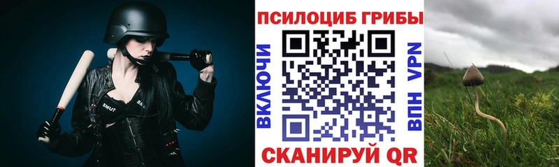 omg маркетплейс  Болотное  Галлюциногенные грибы Magic Shrooms 